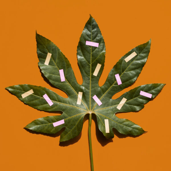 Product Example 5 – Bild 3